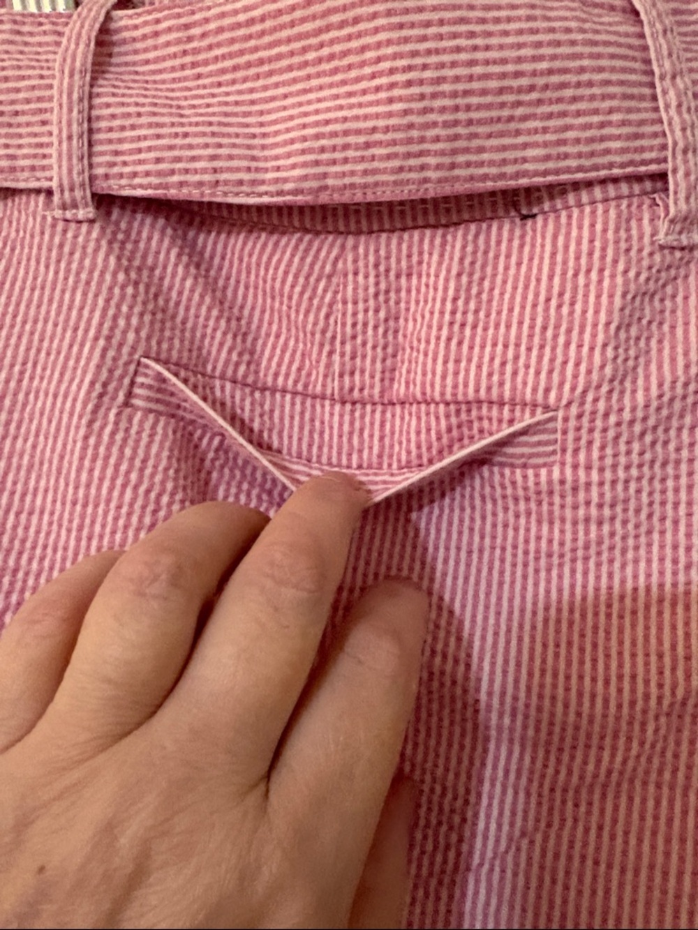 Willi Smith Pink Seersucker High-Waist Belted Shorts Size 8 - Picture 6 of 6